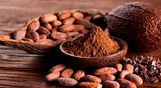 Cacao: Beneficios y riesgos a salud humana