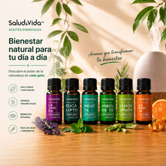 S&V - Kit de 6 Aceites esenciales para Aromaterapia