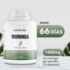 Moringa 200 cápsulas 500mg - SaludVida México
