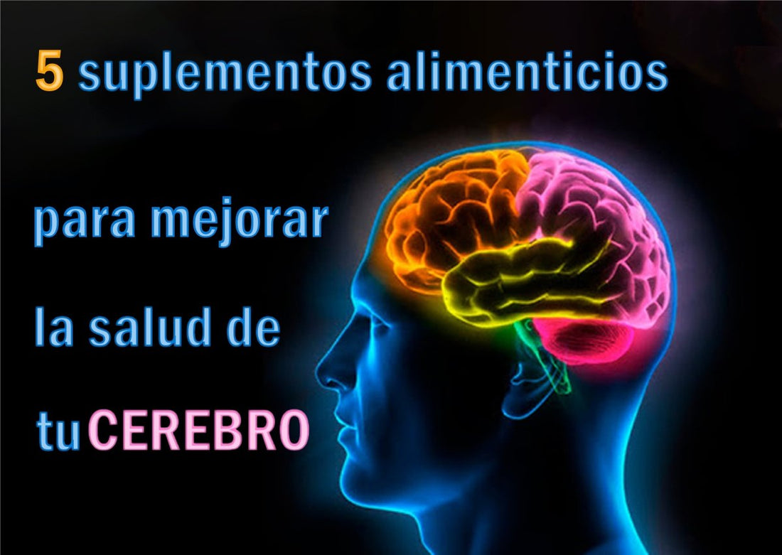 Los 5 mejores suplementos alimenticios para mejorar la salud de tu cerebro - SaludVida México