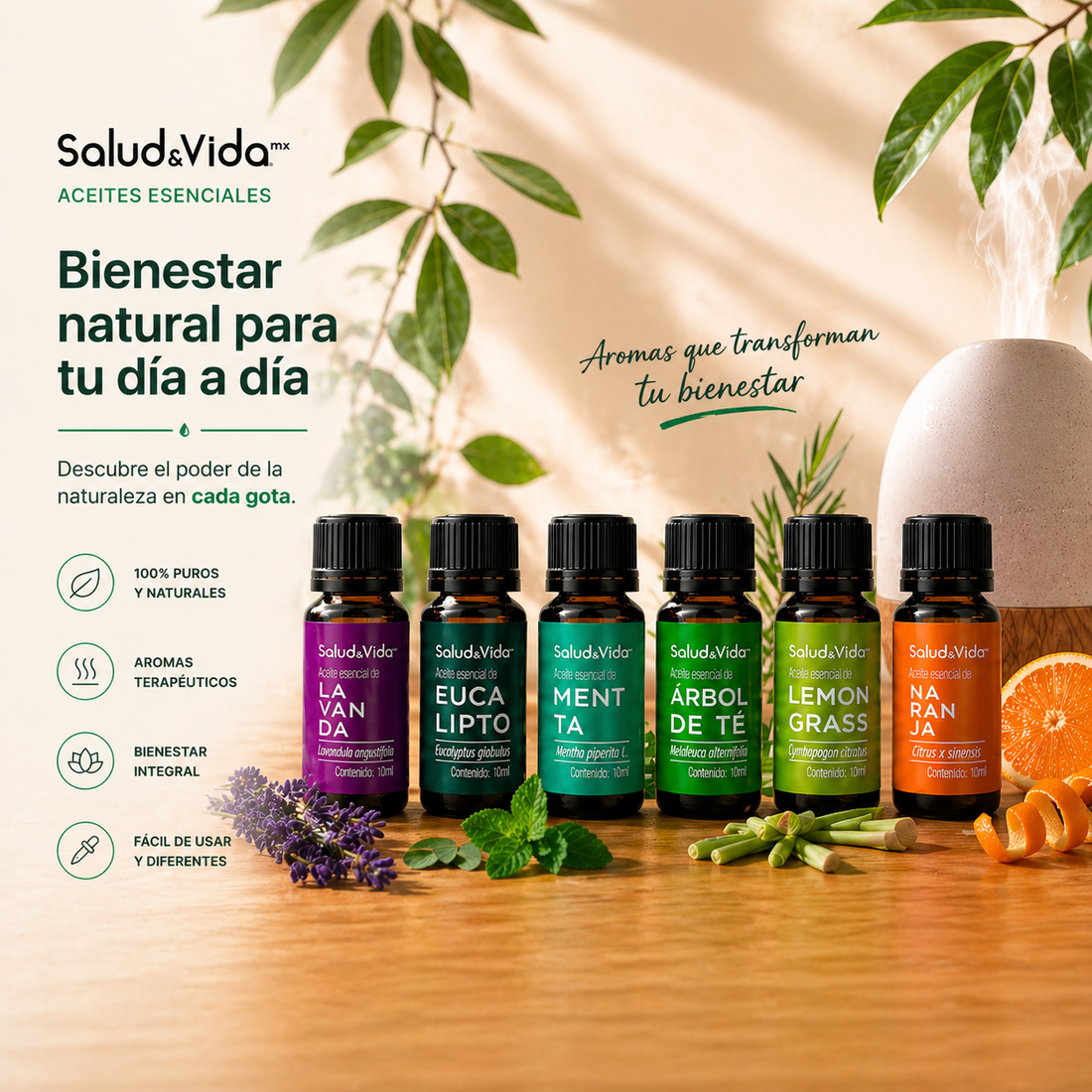Kit de 6 Aceites esenciales para Aromaterapia