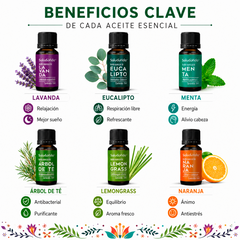 S&V - Kit de 6 Aceites esenciales para Aromaterapia