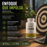 svhub:https://storage.googleapis.com/base-cs-478820-creativos/marketing/20260430080215_9b15ffe2.png