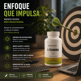 svhub:https://storage.googleapis.com/base-cs-478820-creativos/marketing/20260430080215_9b15ffe2.png
