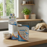 Apoyo Intestinal Para Perro Gato - Sinbichinpét - 1 Sobre