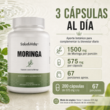 Moringa Oleifera 1500mg por Porción (3 Cápsulas)