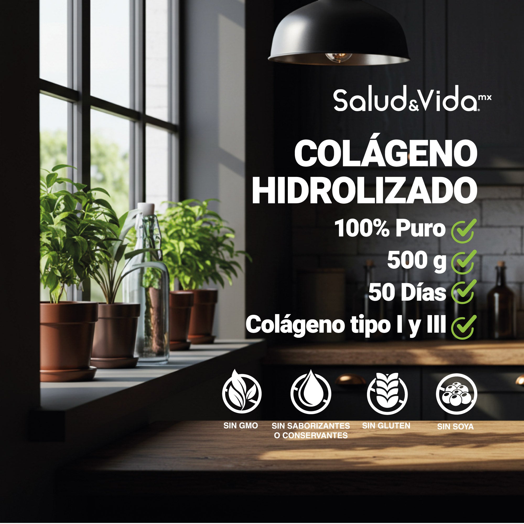 Péptidos de Colágeno Hidrolizado en Polvo Tipo 1 y 3
