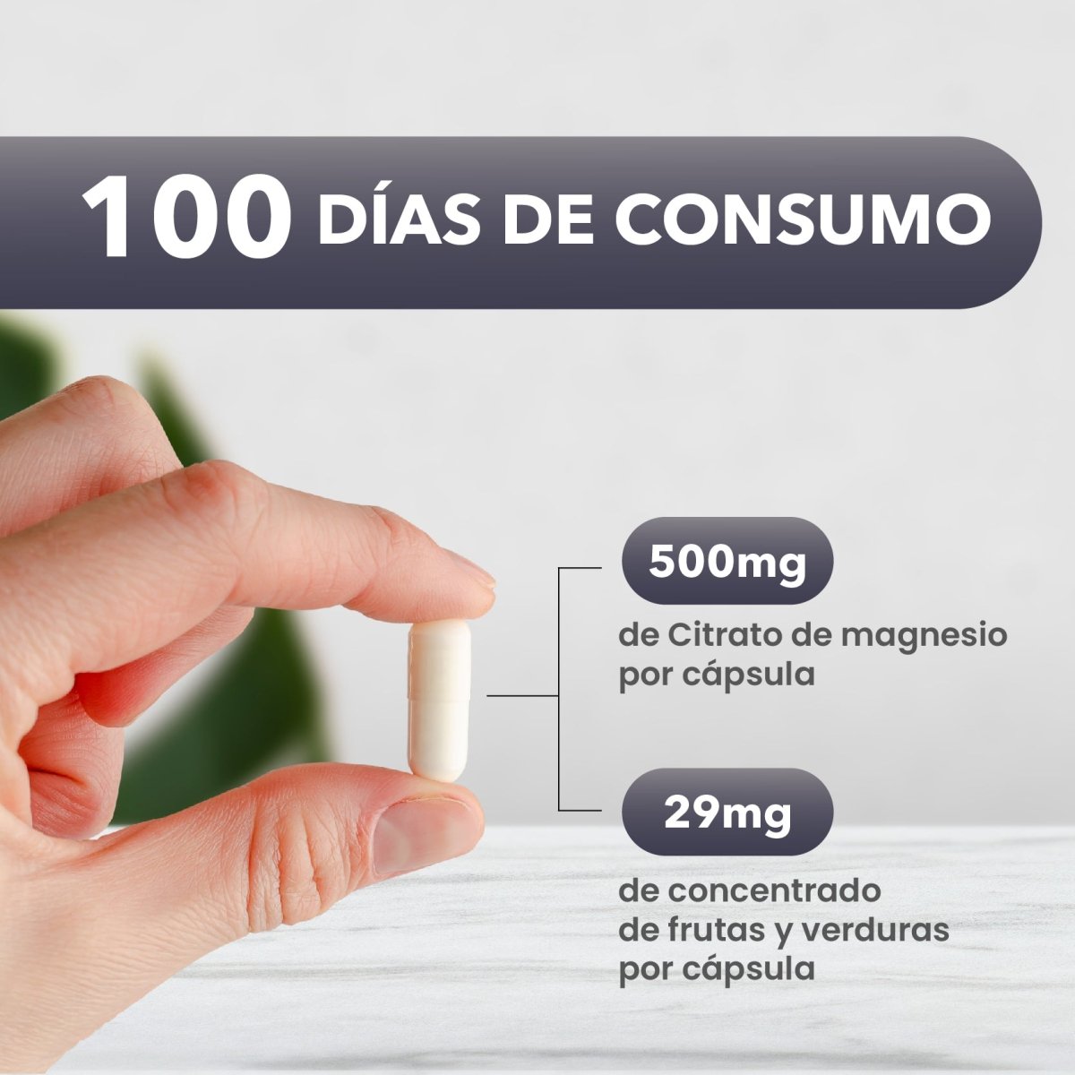 Citrato de Magnesio 500mg - Uno al día - 100 Cápsulas de Fácil Absorción - CITRAMAG S&V - Sin Gluten y Sin OMG - SaludVida México